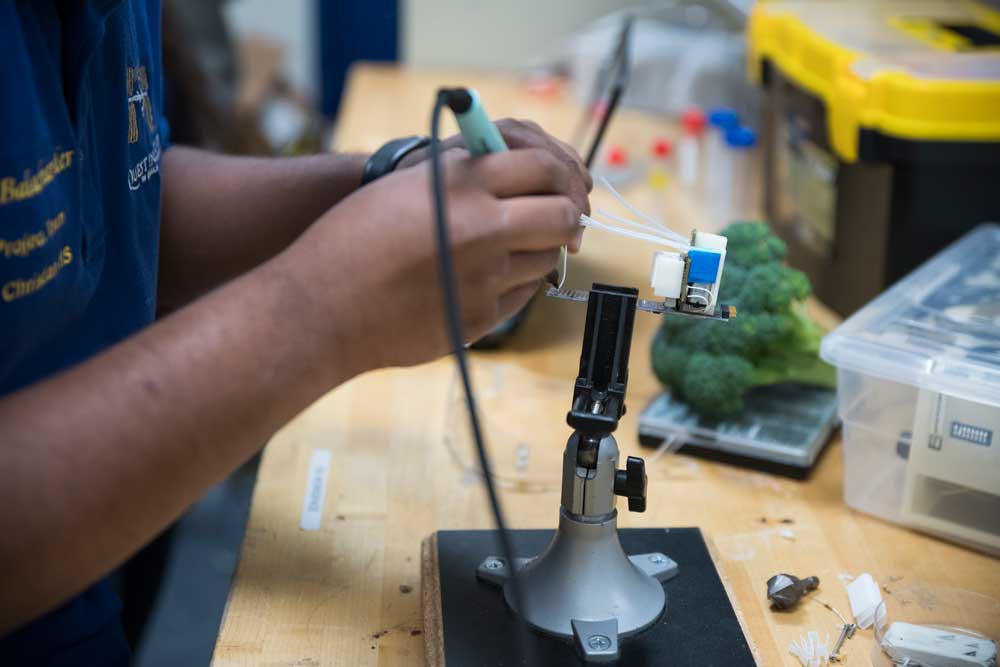 A new experiment will test whether microbes can help broccoli grow better in challenging conditions in space. Deborah Rigg