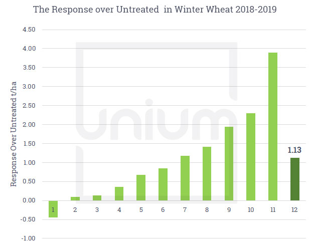 The Response over Untreated in Winter Wheat 2018-2019