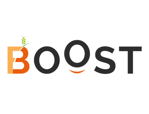 BOOST & BOOST OSR