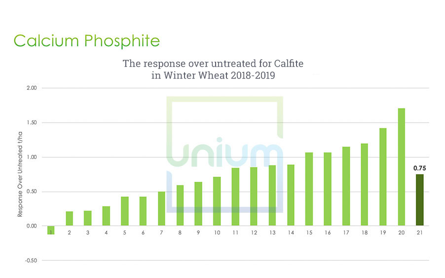 Calcium Phospite