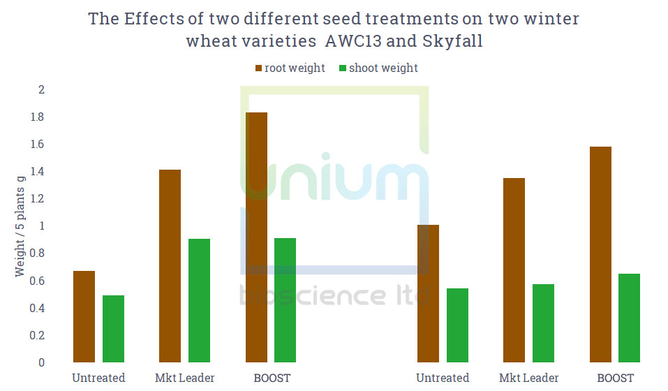 The Effects of two different seed treatments on two winter wheat varieties AWC13 and Skyfall
