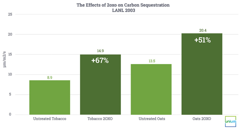 The Effects of 2oxo on Carbon Sequestration