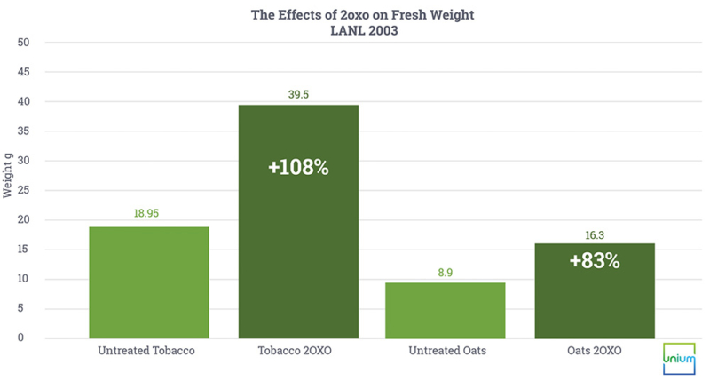 The Effects of 2oxo on Fresh Weight