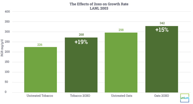 The Effects of 2oxo on Growth Rate