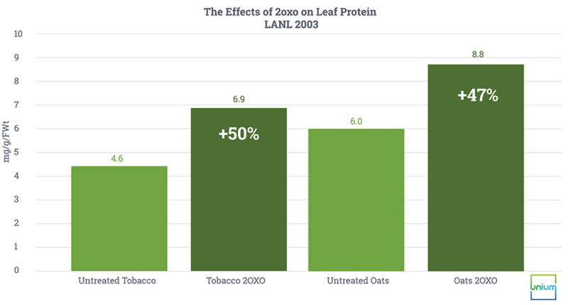 The Effects of 2oxo on Leaf Protein