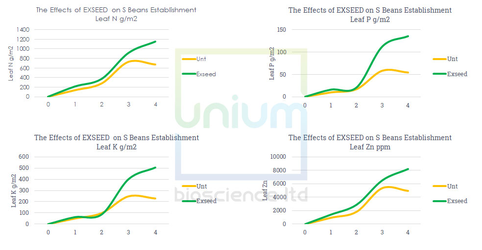 The Effects of Exseed on Spring Beans Establishment (Lincolnshire 2019)