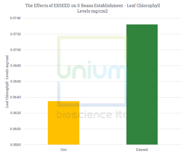 The Effects of EXSEED on S Beans Establishment - Leaf Chlorophyll Levels mg/cm2