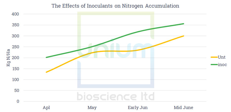 The Effects of Inoculants on Nitrogen Accumulation