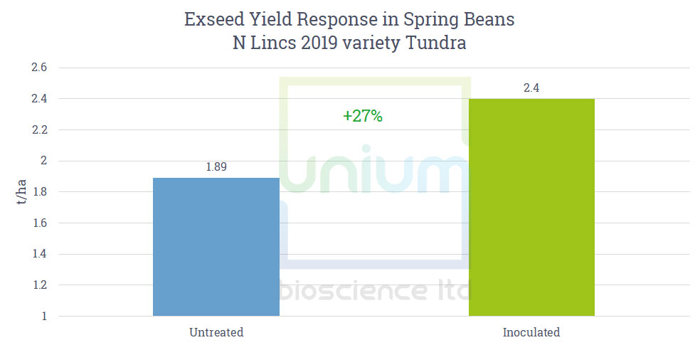 Exseed Yield Response in Spring Beans N Lincs 2019 variety Tundra