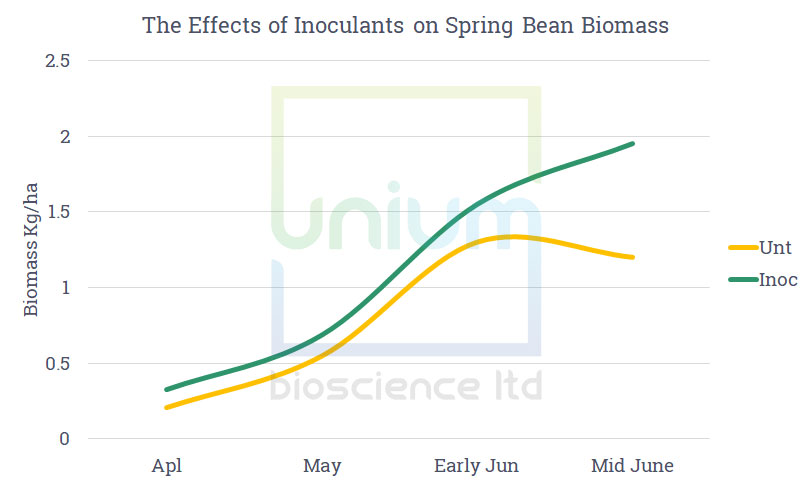 The Effects of Inoculants on Spring Bean Biomass