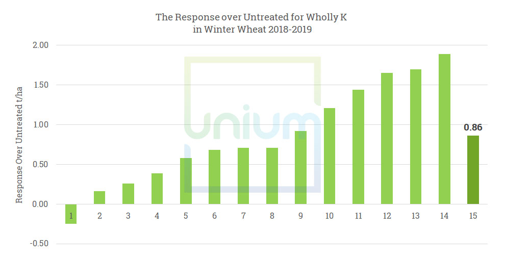 The Response over Untreated for Wholly K in Winter Wheat 2018-2019