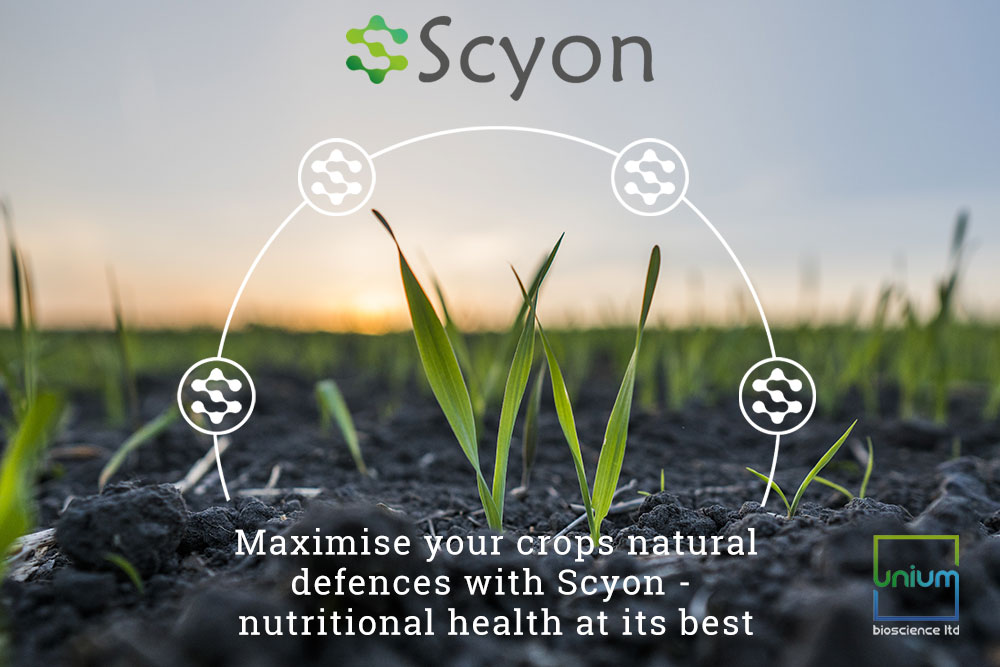 Scyon Plant Protection from Unium Bioscience