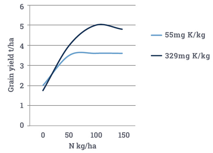 Response of spring barley to N fertiliser on soils with different levels of exchangeable soil K (KEX) Hoosfield, Rothamsted