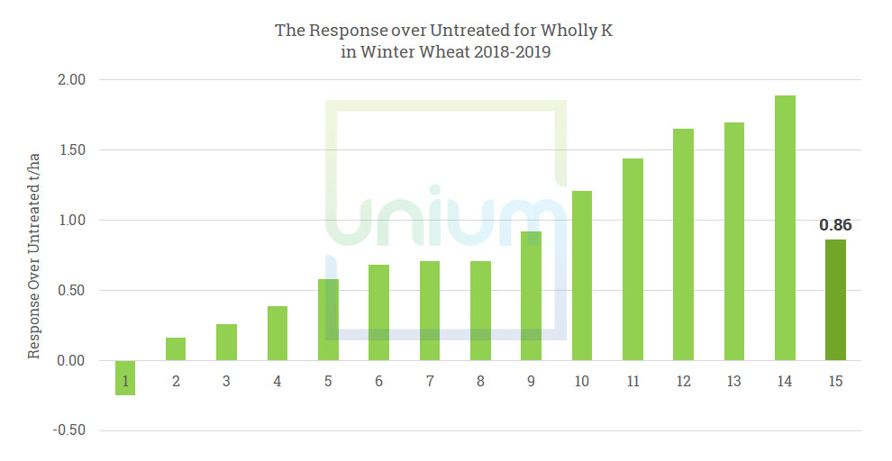 The response over untreated for Wholly K in Winter Wheat 2018-2019