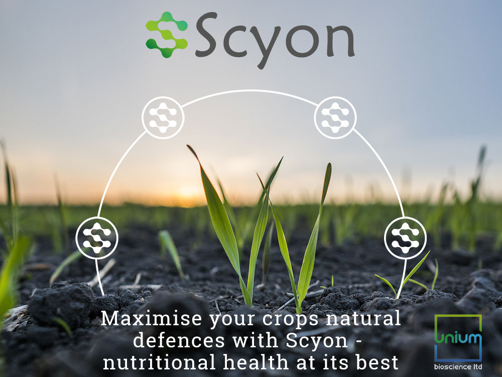 Scyon Plant Protection