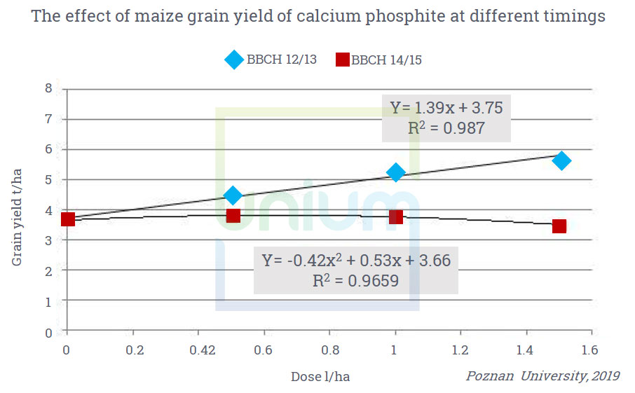 The effect of maize grain yield of calcium phosphite at different timings