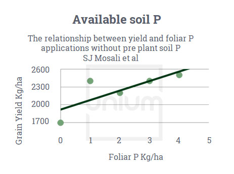 Available Soil P