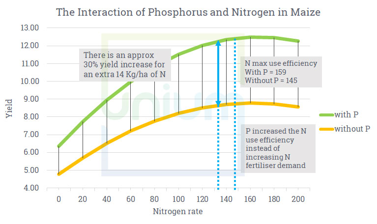 Nitrogen and Phosphorus Interactions over a 30 year trial period