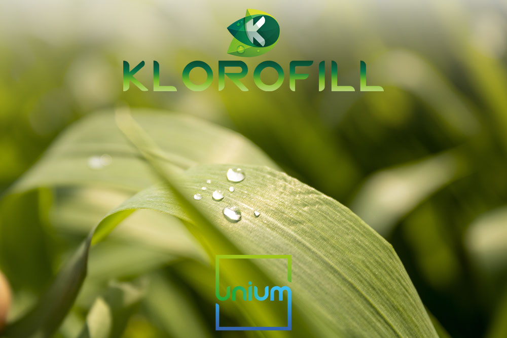 Klorofill