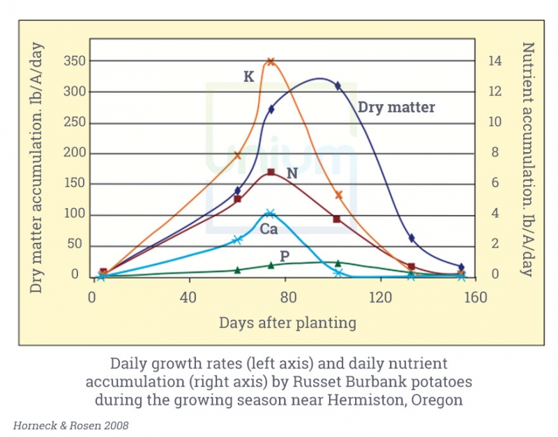Potato Update Unium Bioscience Limited