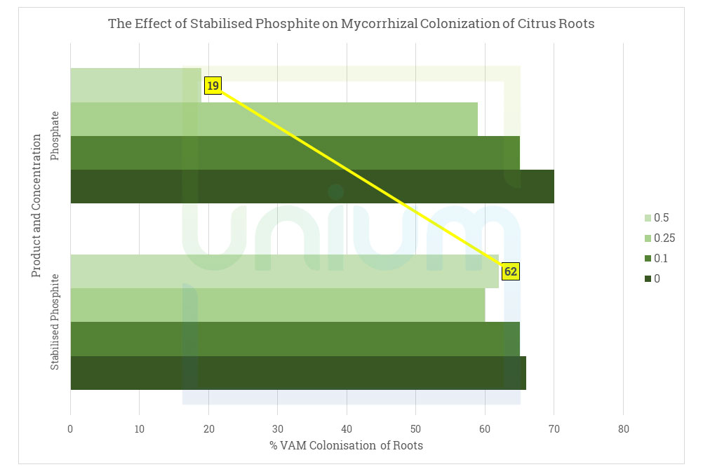 The Effect of Stabilised Phosphite on Mycorrhizal Colonization of Citrus Roots