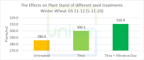 The Effects on Plant Stand of different seed treatments Winter Wheat GS 11-12