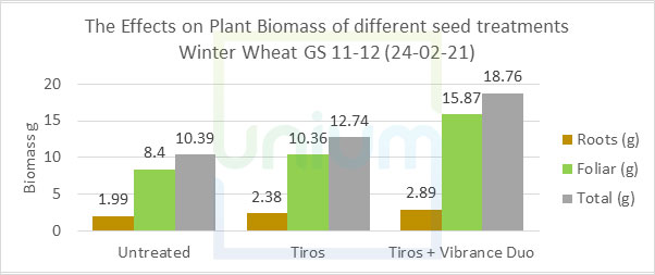 The Effects on Plant Biomass of different seed treatments Winter Wheat GS 11-12