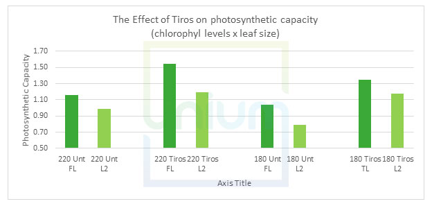 The Effect of Tiros on photosynthetic capacity (chlorophyl levels x leaf size)