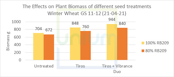 The Effects on Plant Biomass of different seed treatments Winter Wheat GS 11-12