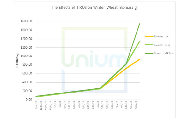 The Effects of TIROS on Winter Wheat Biomass g