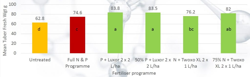 The effects of Luxor and Twoxo XL on potato yield (unirrigated) t/ha CMi 2019, Peterborough (P = 0.05) Full programme = 100kg/ha P + 100kg/ha N Reduced programme = 50% less P or 25% less N