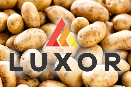 Boosting Efficiency with Luxor