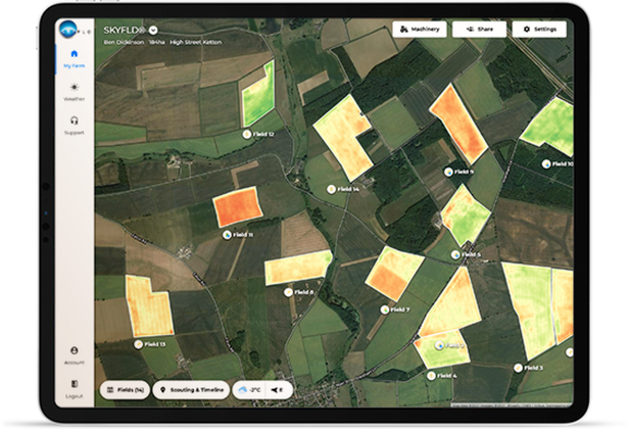 SKYFLD Biomass maps