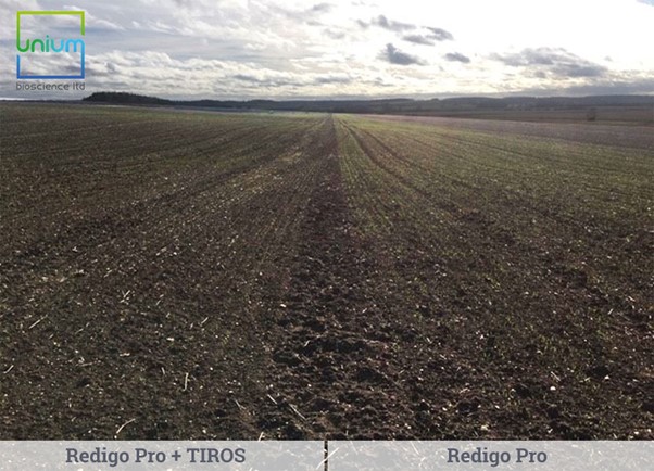 Redigo Pro + Tiros Redigo Pro + Tiros