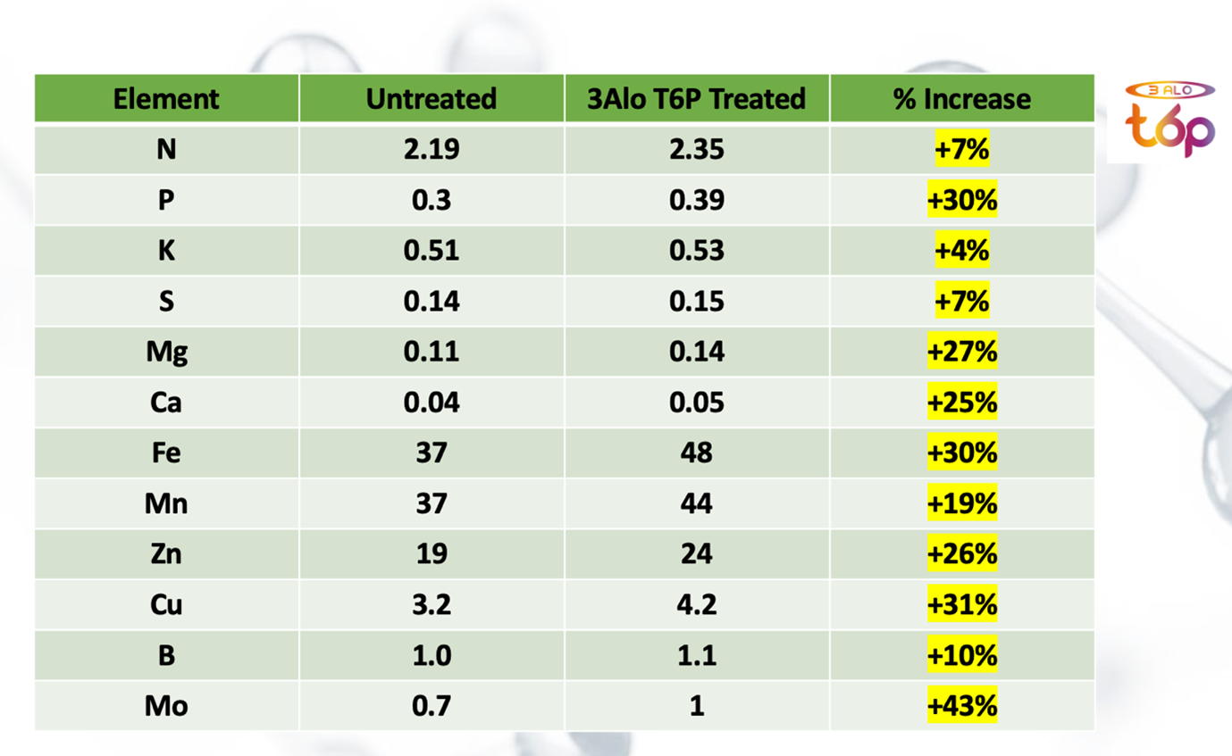 T6P-increase.png