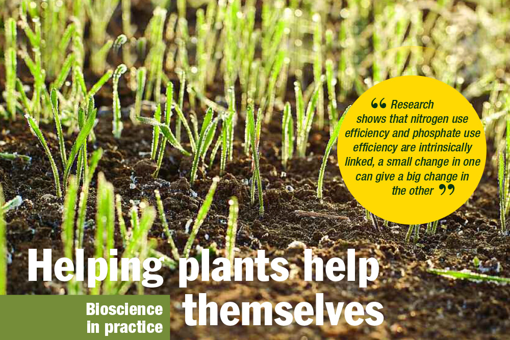 CPM Article September 2022 Helping Plants Help Themselves