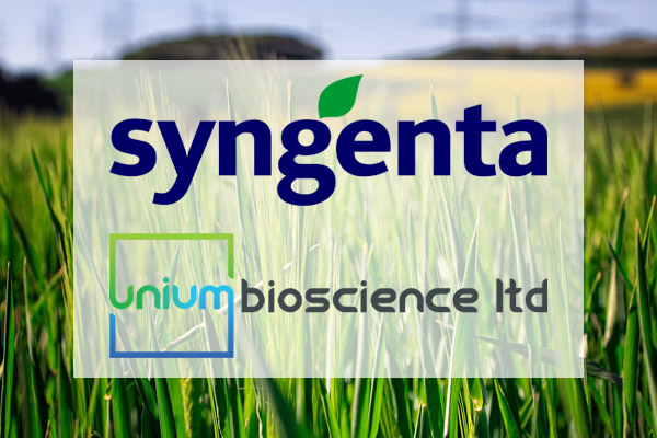 Syngenta and Unium Bioscience to bring novel biological seed treatment to northwest Europe