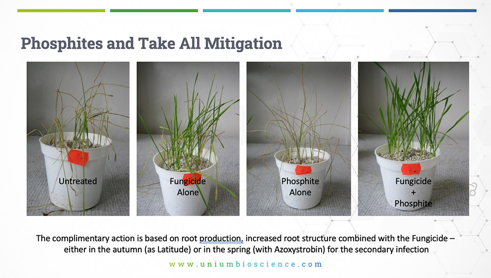 Photphites-take-all-mitigation